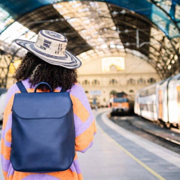 Preser vation Eff orts: Init iate ives to Safeg uard Heri tage